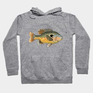 Longear Sunfish Hoodie